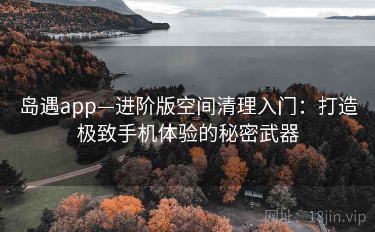 岛遇app—进阶版空间清理入门：打造极致手机体验的秘密武器