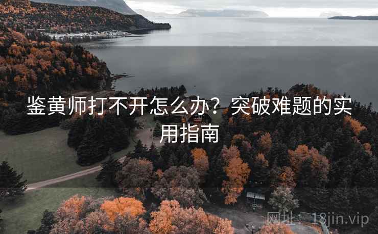 鉴黄师打不开怎么办？突破难题的实用指南