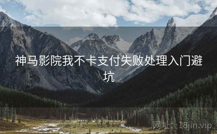 神马影院我不卡支付失败处理入门避坑