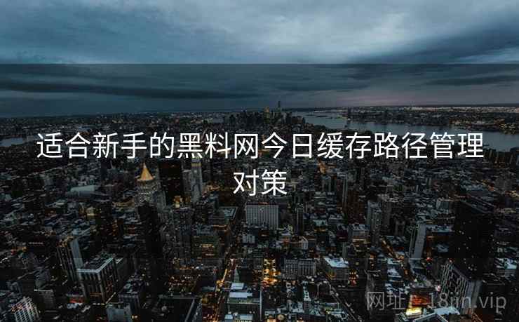 适合新手的黑料网今日缓存路径管理对策