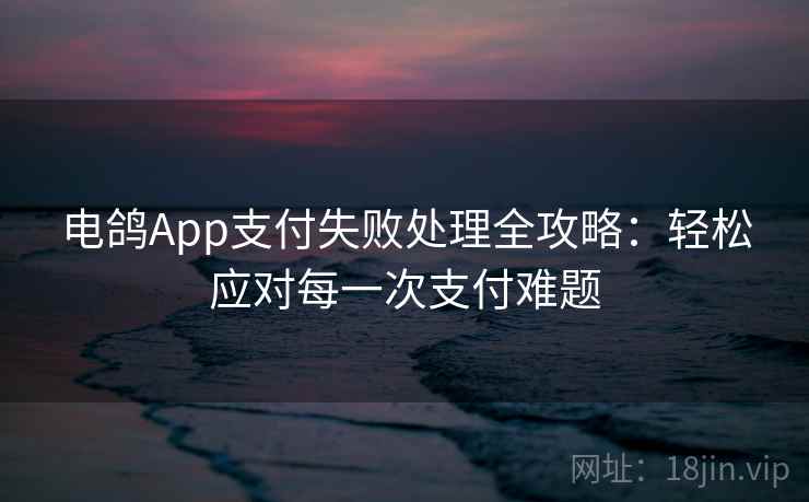 电鸽App支付失败处理全攻略：轻松应对每一次支付难题