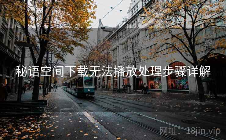秘语空间下载无法播放处理步骤详解