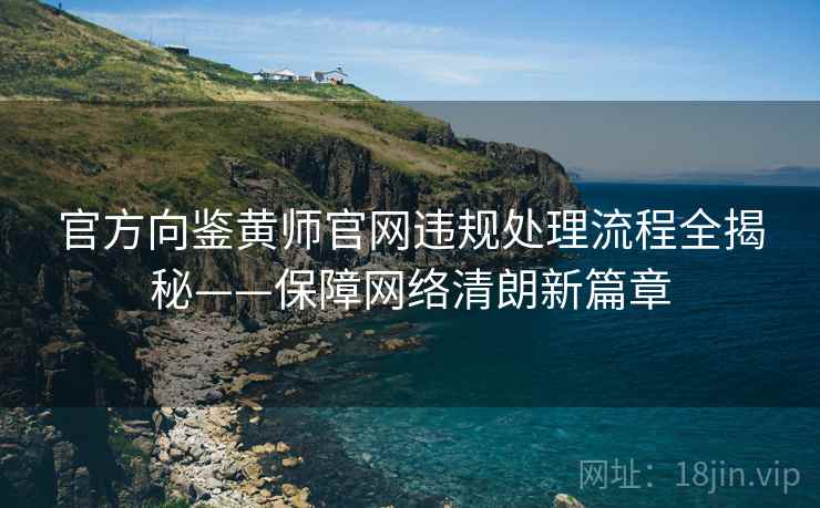 官方向鉴黄师官网违规处理流程全揭秘——保障网络清朗新篇章