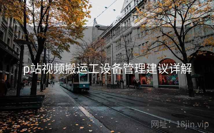 p站视频搬运工设备管理建议详解