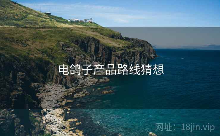电鸽子产品路线猜想