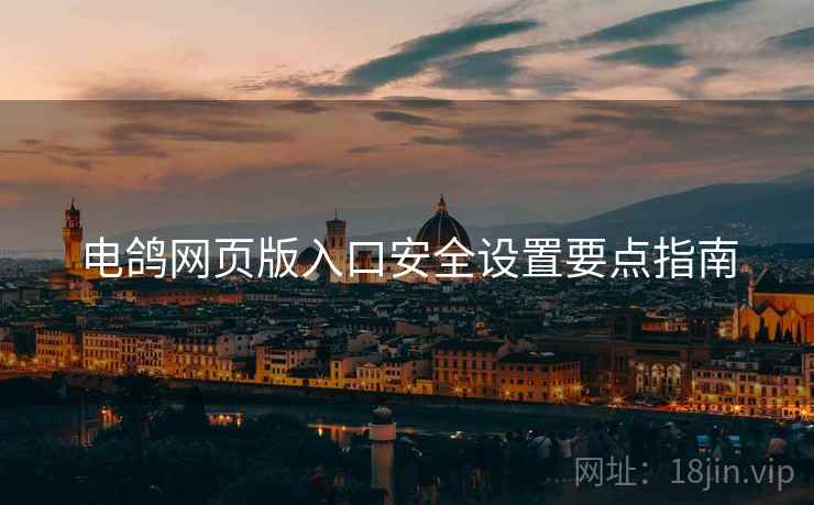 电鸽网页版入口安全设置要点指南