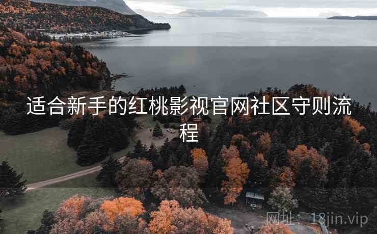 适合新手的红桃影视官网社区守则流程