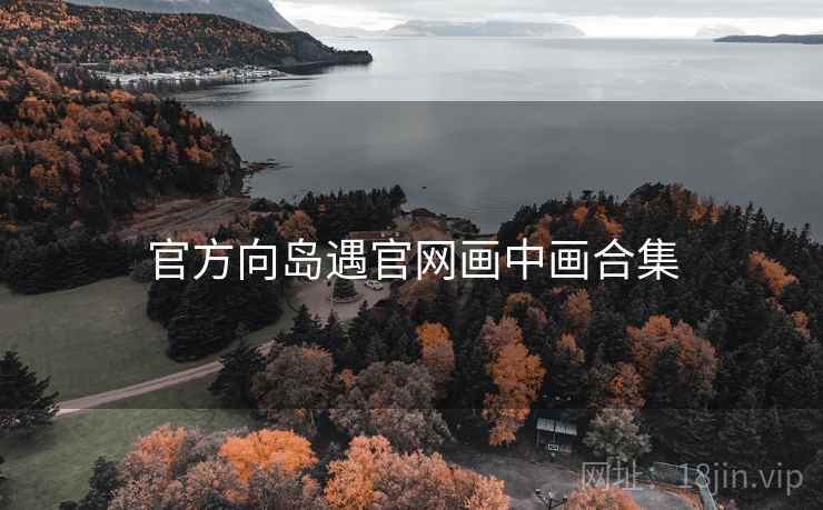 官方向岛遇官网画中画合集