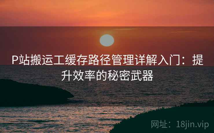 P站搬运工缓存路径管理详解入门：提升效率的秘密武器