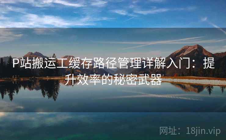 P站搬运工缓存路径管理详解入门：提升效率的秘密武器