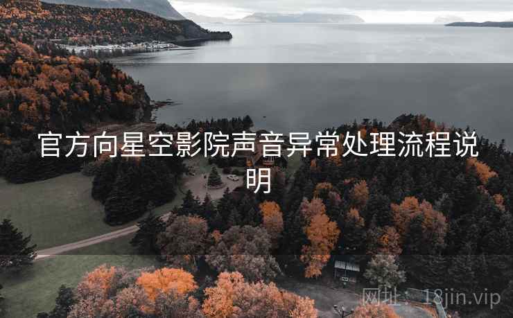 官方向星空影院声音异常处理流程说明