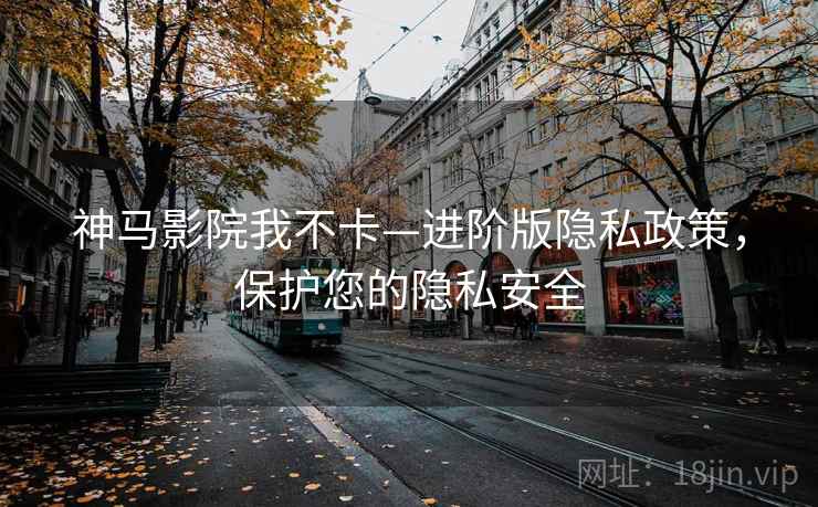 神马影院我不卡—进阶版隐私政策，保护您的隐私安全