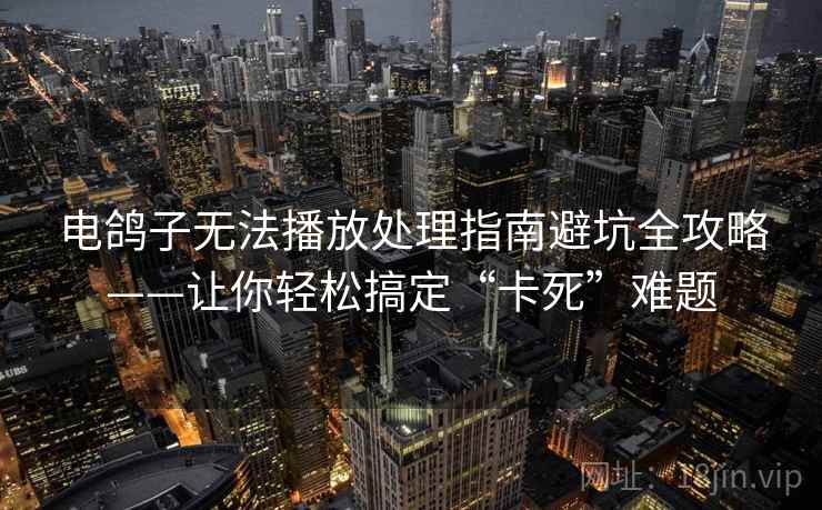 电鸽子无法播放处理指南避坑全攻略——让你轻松搞定“卡死”难题